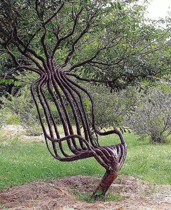 他花了10年时间, 把凳子种了出来 peter在他的杰作上放松 这把树椅子