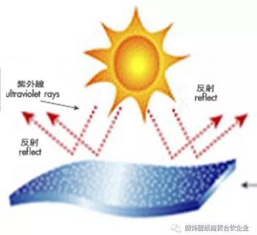 燕郊新浪家居