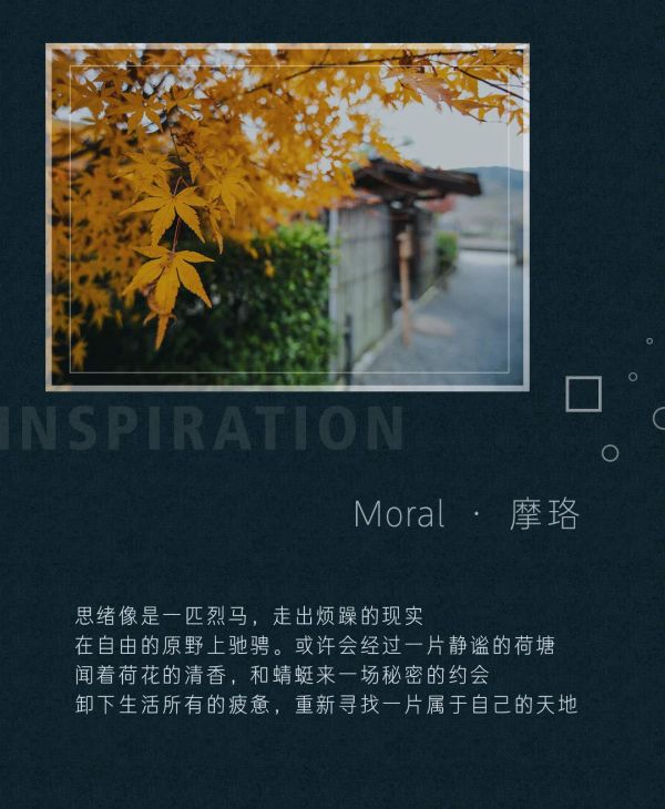 欧仕莱新品解读 Moral · 摩珞 “隐居”于