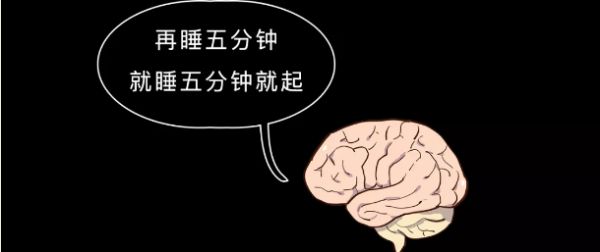 燕郊新浪家居