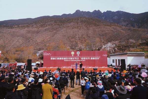 第四届觉龙桃花节开幕，芒康县政府邀你来网红地打卡