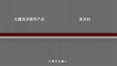 225646
