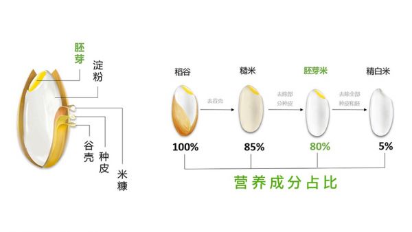 小区里竟然可以在智能碾米机买到新鲜大米？