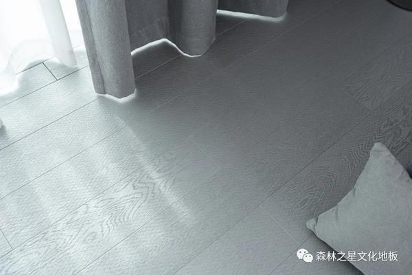森林之星文化地板 PARDA·道奇蓝