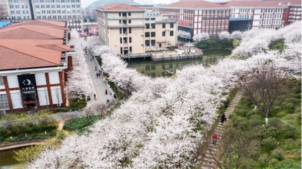 航拍组三等奖：江庆林