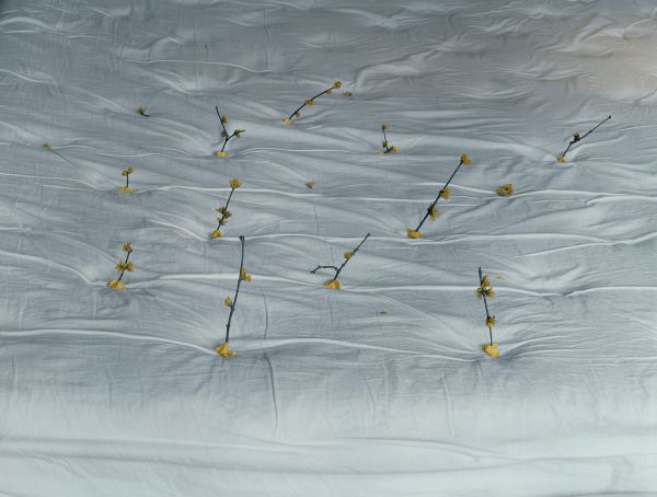 徐欣儿，《Wrinkled reverie, stuck wintersweet dreams》，2021，艺术微喷，75x56.8 cm 图片致谢艺术家和cusp.