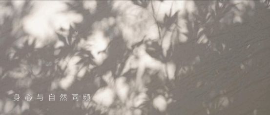 与自然共生，进口卫浴品牌伊奈携水之仪式缔造心灵禅境