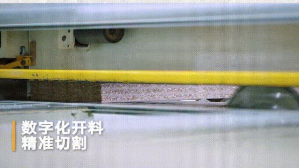 发现生活新旋“绿”，和联塑集团领尚家居一起守护地球微笑