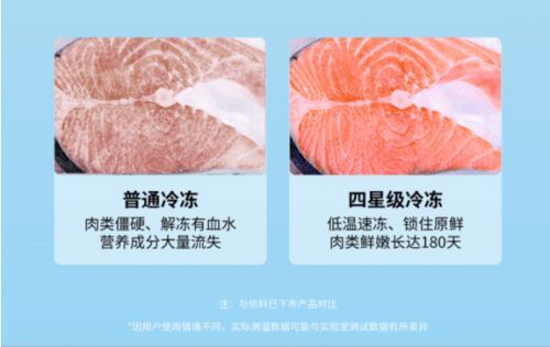 倍科520超薄零嵌维C冰箱全新上市-光合鲜境，零界美学！