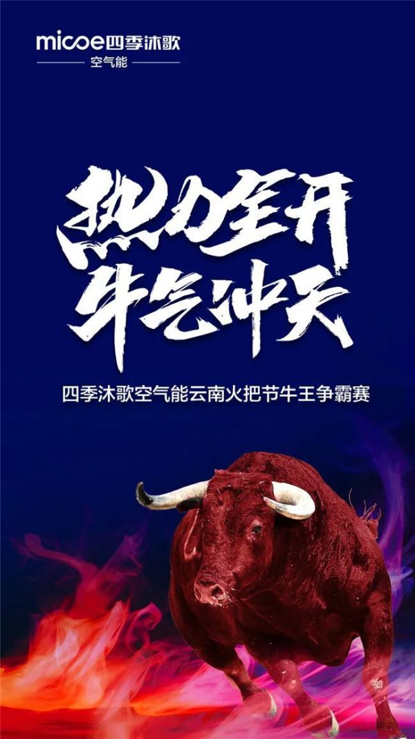 “牛打架”火出圈！四季沐歌牛王一战成名