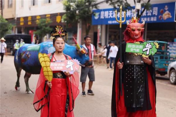 “牛打架”火出圈！四季沐歌牛王一战成名