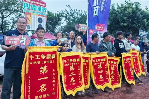 “牛打架”火出圈！四季沐歌牛王一战成名