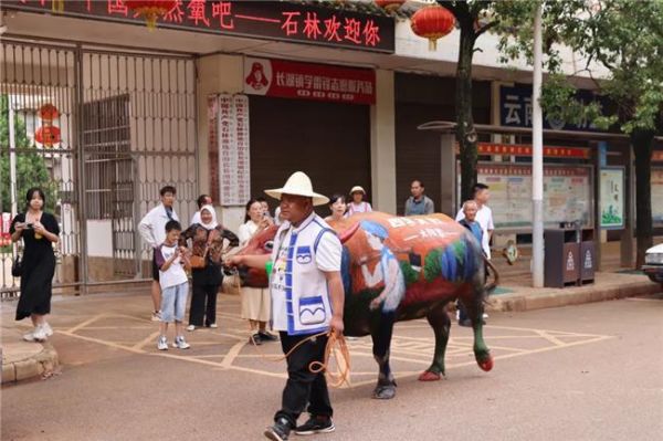 “牛打架”火出圈！四季沐歌牛王一战成名