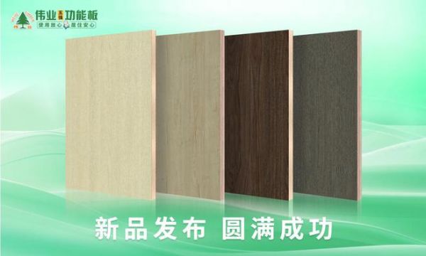 伟业五强功能板新品发布，圆满成功