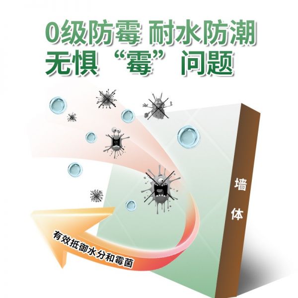 耐水防霉腻子主图5.jpg