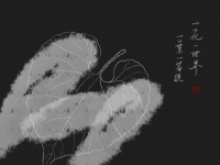 一花一世界 一叶一菩提
