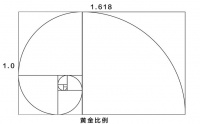 派客瓷砖｜800x1350极简大板震撼上市，空间美学的“黄金密码”