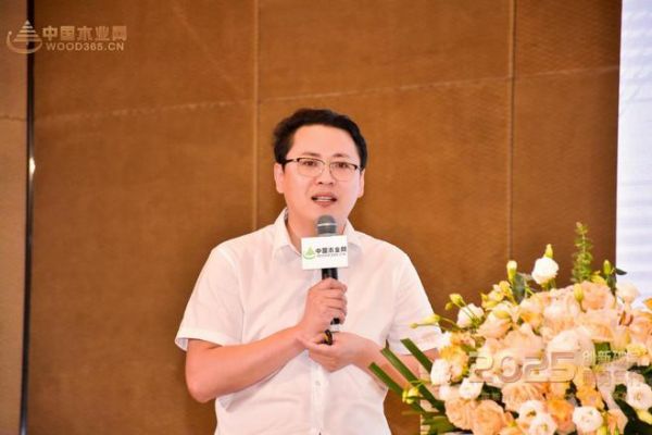 四冠加冕！兔宝宝以品质匠心破局，定义板业高质量发展新范式