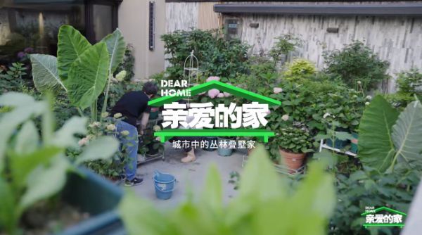 微信图片_20250620150844