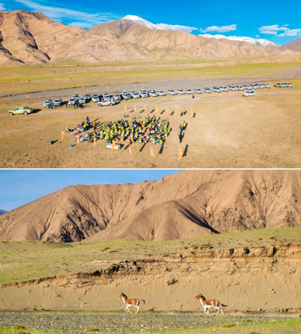 三峰照明举办的第四届设计师登山节圆满收官，共赴自然与设计之约