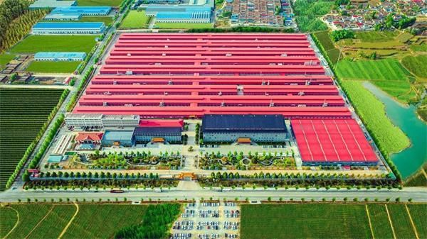 聚势启新 共轨未来 | 巧夺天工红木2025城市合伙人再度集结