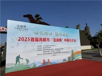 心之所向·毅行必达！2025首届高邮市“法迪奥杯”环跑大会圆满举行