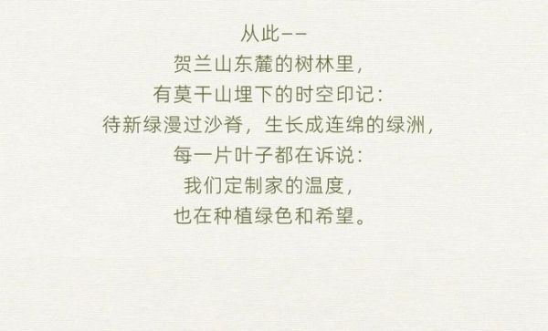 沙海砺行·以木还林 | 莫干山大家居的实木定制与自然共生之路