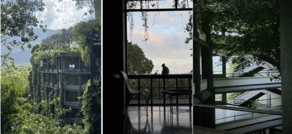 斯里兰卡再出发,欧神诺金橄榄设计力量研学之旅完美收官!