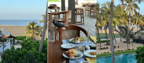 斯里兰卡再出发,欧神诺金橄榄设计力量研学之旅完美收官!