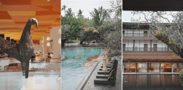 斯里兰卡再出发,欧神诺金橄榄设计力量研学之旅完美收官!