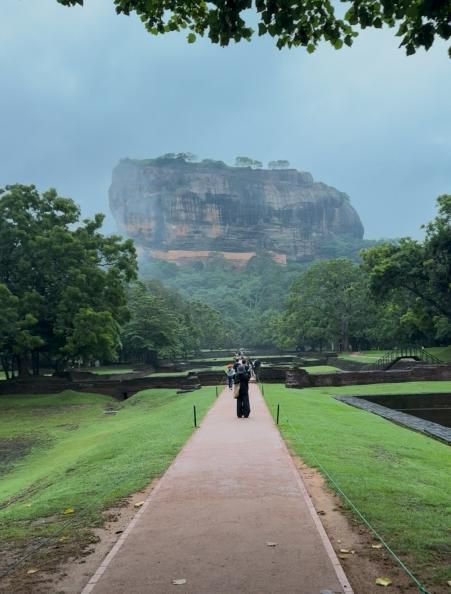 斯里兰卡再出发,欧神诺金橄榄设计力量研学之旅完美收官!