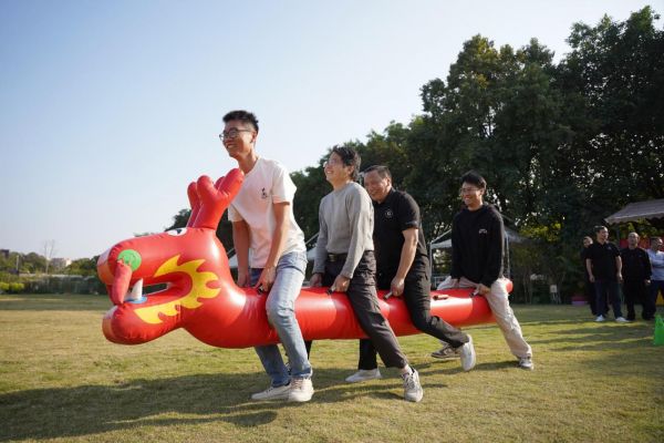 DSA06220-opq4245920525