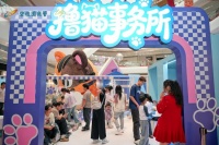 “撸猫事务所”火爆出圈：干净无异味、萌猫超粘人，成亲子年轻人打卡新风口