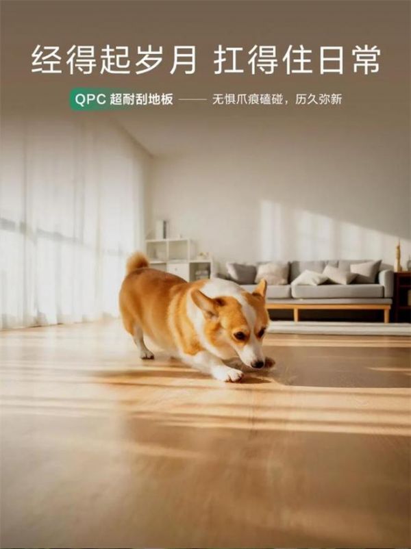 新明珠绿材五大系列新品上市，打造高品质地面系统