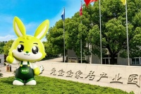 探秘兔宝宝智慧工厂：从仓库到您家，一块板材的“智”造之旅