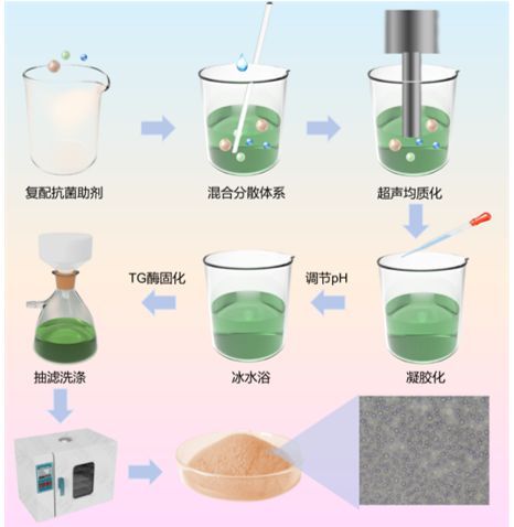 植物源技术新突破｜云峰莫干山解锁茶多酚抗菌板材绿色新方案