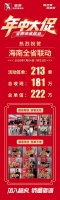 战绩斐然｜碧虎年中大促——海南站活动大捷，实力铸就辉煌！