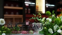 卓木王微醺空间惊艳亮相上海建博会，“微醺是一种疗愈美学”对谈成功举办