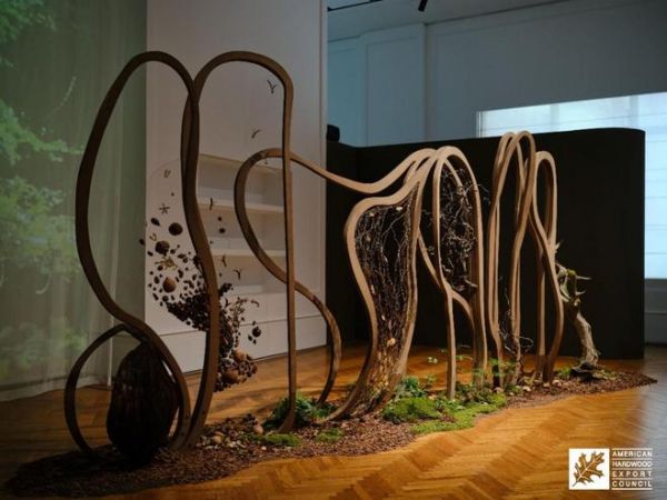 “林间有归途”可持续美国阔叶木概念设计展在沪揭幕